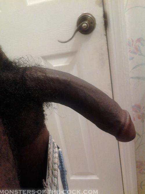 Image #208